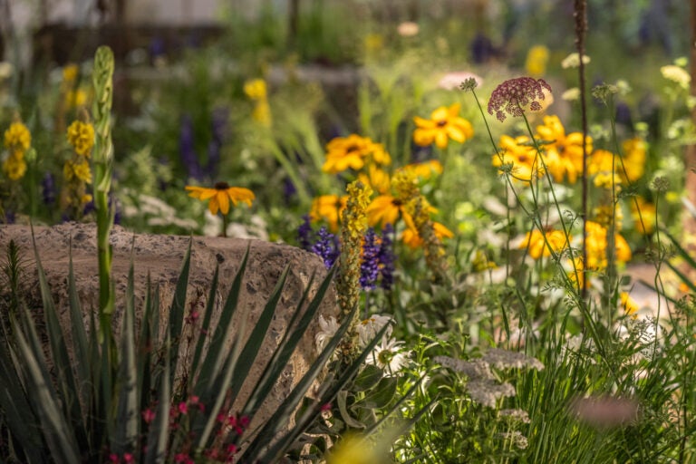 A floral installation at the Flower Show