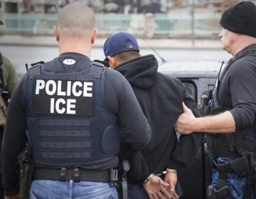 (Charles Reed/U.S. Immigration and Customs Enforcement via AP)