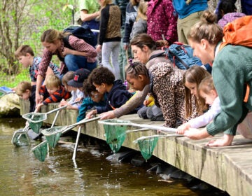 Annual Naturepalooza at Schuylkill Center for Environmental Education