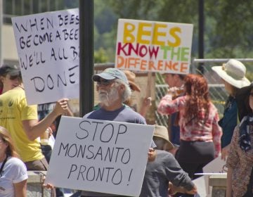 A former GMO researcher explains how class plays into flawed perceptions of genetically engineered crops. (Image courtesy of Bigstock)