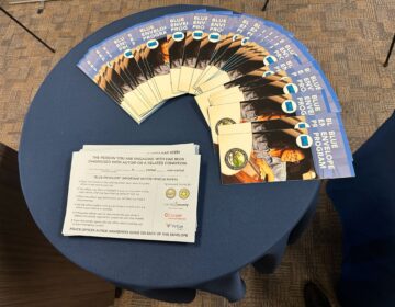 pamphlets for the program