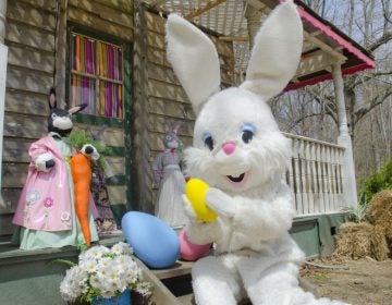 Easter Bunny (Linvilla Orchard)