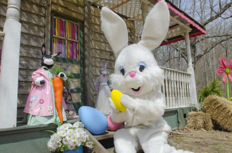 Easter Bunny (Linvilla Orchard)