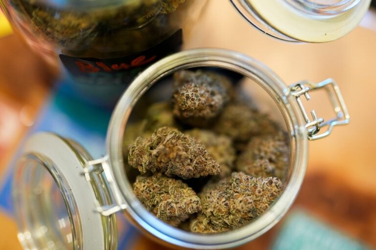 cannabis in a jar on a table