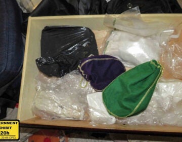 Las autoridades federales incautaron estas drogas durante la mayor redada de fentanilo del estado.