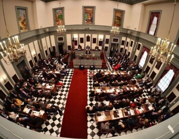 Lawmakers in Legislative Hall's Senate chambers in Dover
