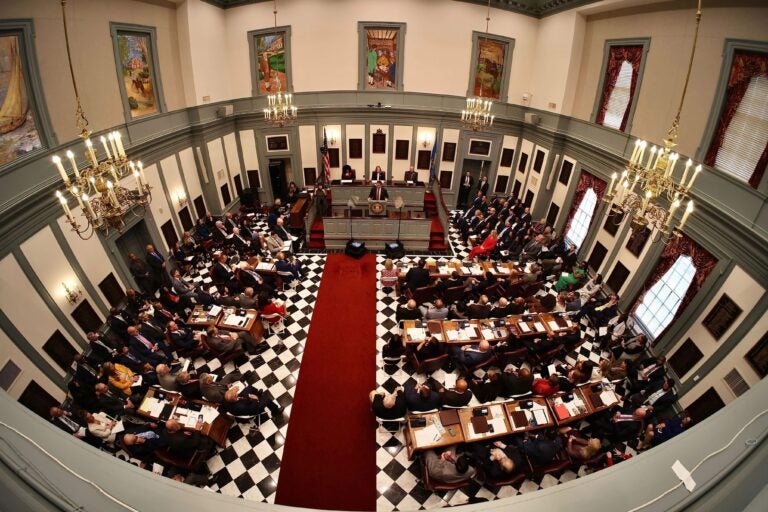 Lawmakers in Legislative Hall's Senate chambers in Dover
