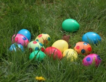 Colored eggs for Easter in grass