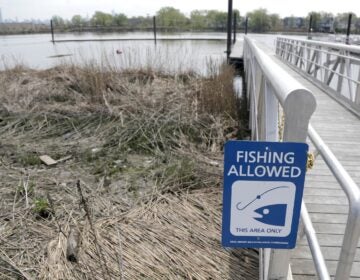 a sign by the water reads FISHING ALLOWED