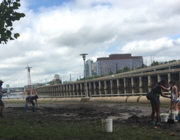Volunteers helped clean up a mess of debris and mud left on the Schuylkill Bank post-Tropical Storm Isaias. (Katie Meyer/WHYY)