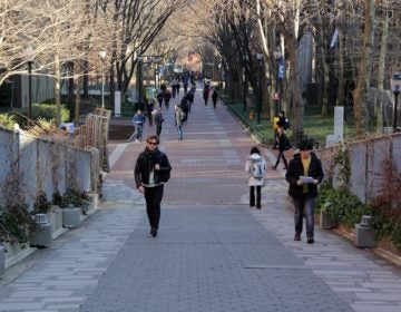 Students walking on a path on campus