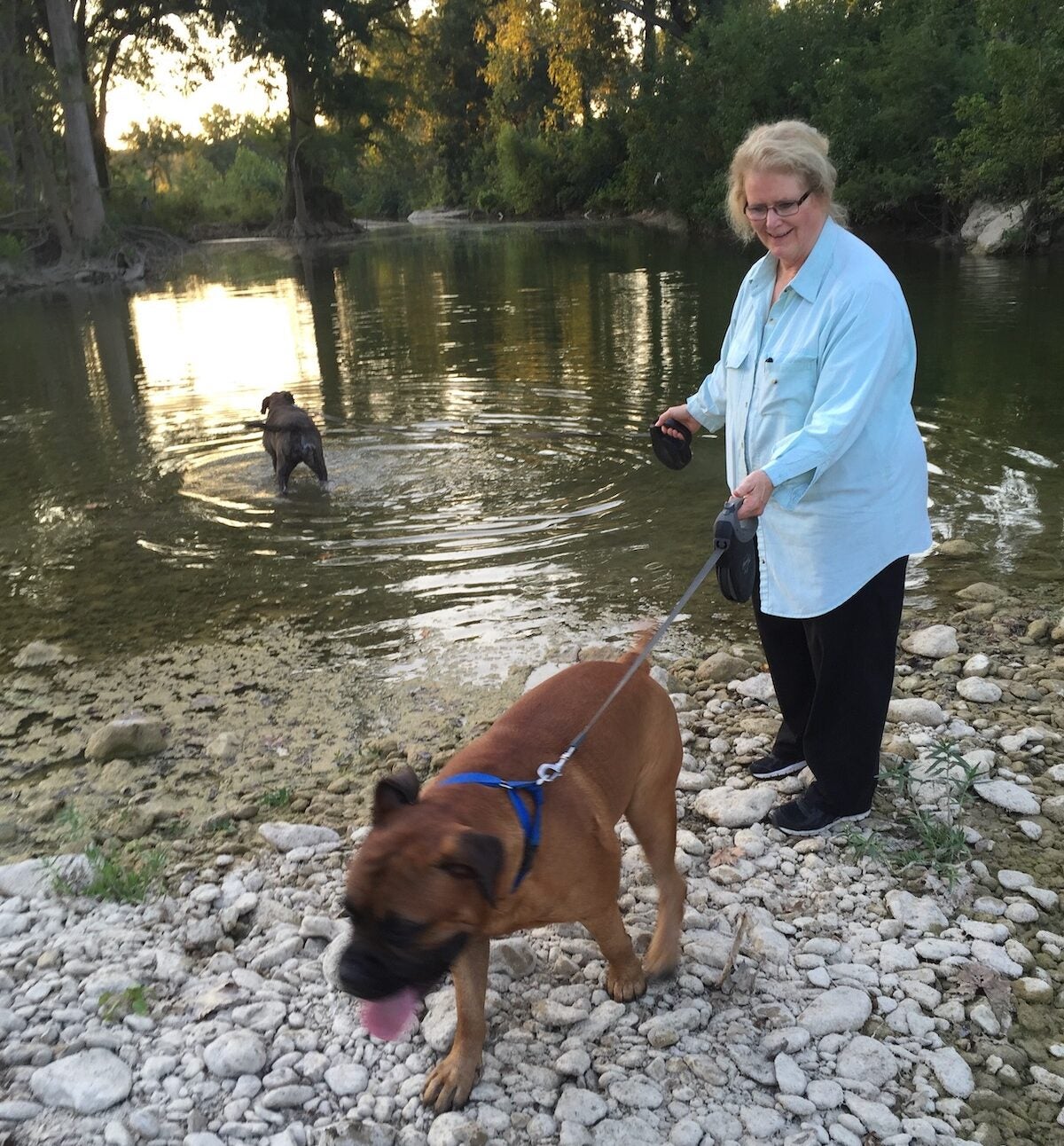 Jan Todd walks her two Bullmastiffs, Monte and Wal. (Courtesy of Michael Joseph Gross)