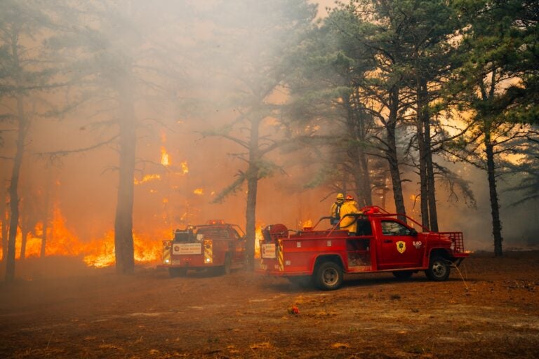 The Jones Road wildfire burns in Ocean County, New Jersey