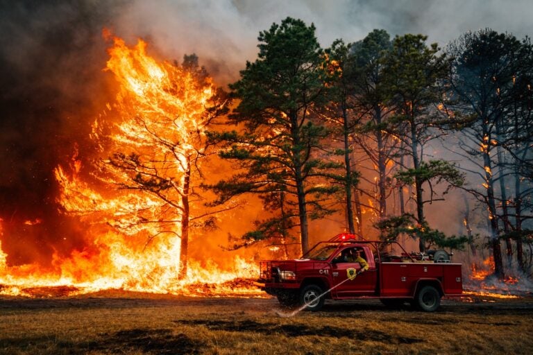The Jones Road wildfire burns in Ocean County, New Jersey
