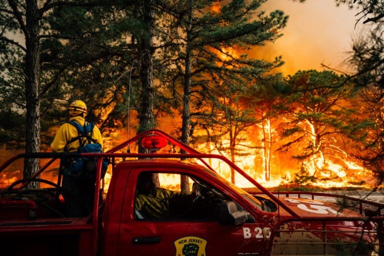 The Jones Road wildfire burns in Ocean County, New Jersey
