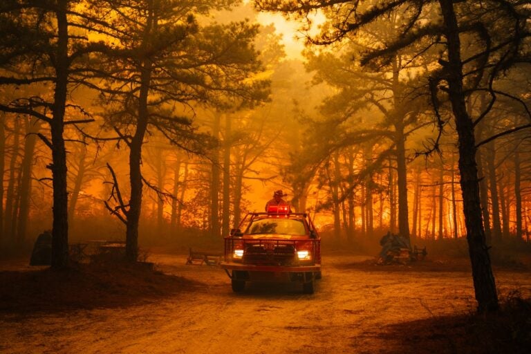 The Jones Road wildfire burns in Ocean County, New Jersey
