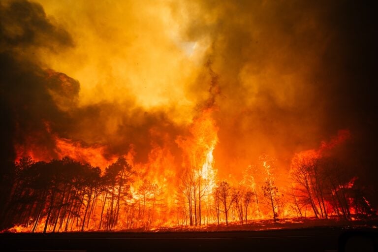 The Jones Road wildfire burns in Ocean County, New Jersey