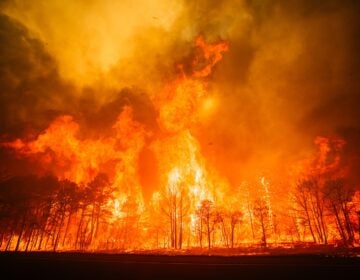 The Jones Road wildfire burns in Ocean County, New Jersey