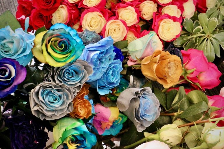 An assortment of very colorful floewrs