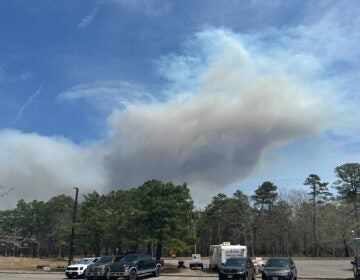 smoke from the Ocean County fire