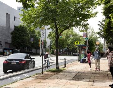 a rendering of the Spring Garden Street bike lane project