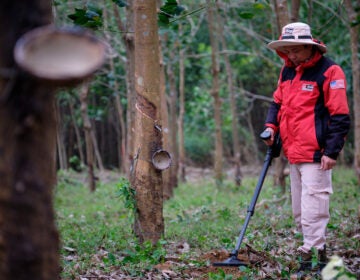 A representative from Mines Advisory Group is searching for a bomb with a metal detection device. (Mines Advisory Group/Bart Verweij)